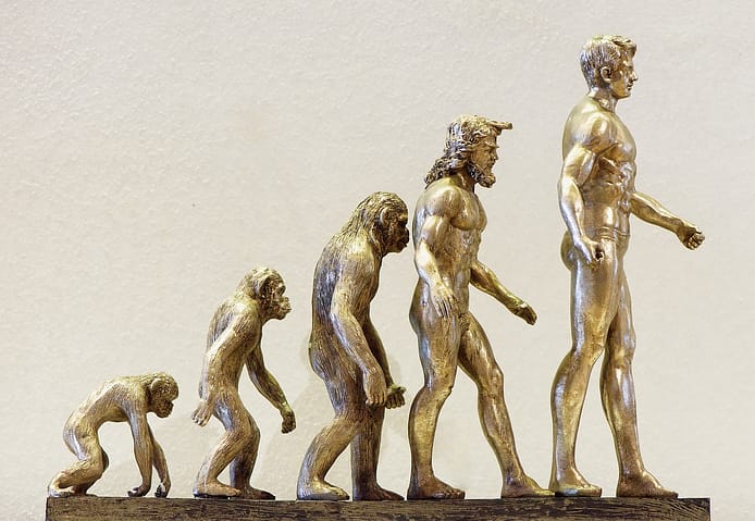 Human-evolution